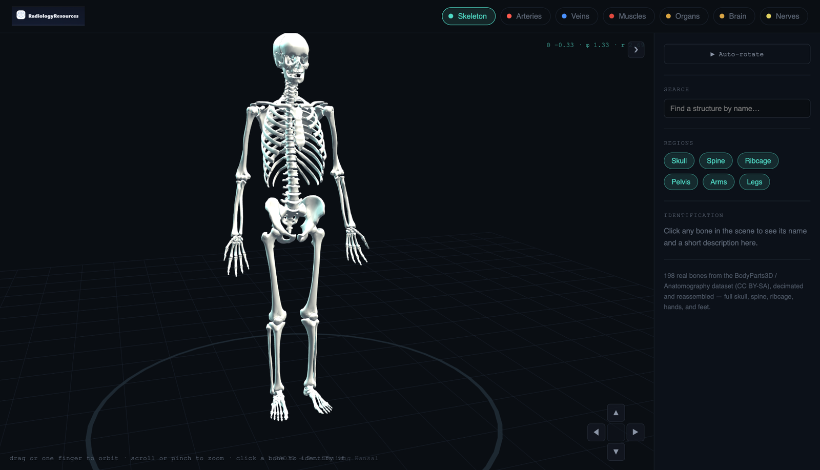 3D Anatomy Viewer