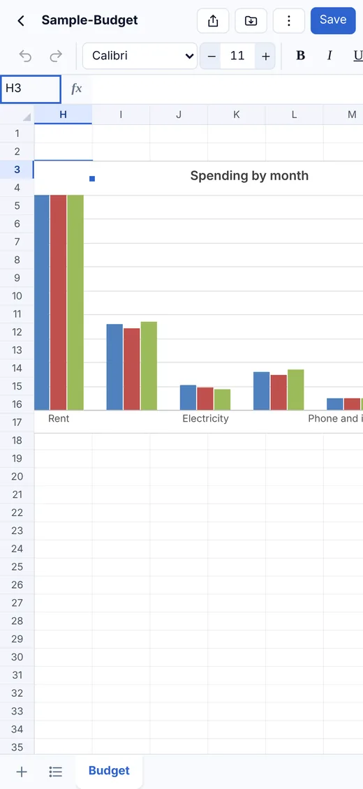 A column chart made from the budget on iPhone